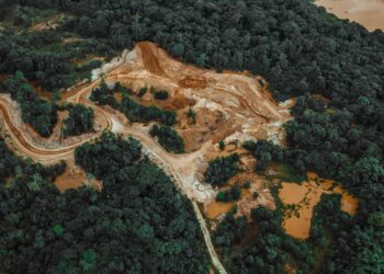 debida diligencia medioambiental